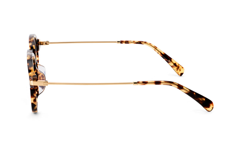 H Readdy Premium H Reddy Sunglasses for Every Occasion | AM EYEWEAR