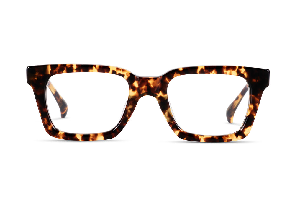 M GUDINSKY — Tort