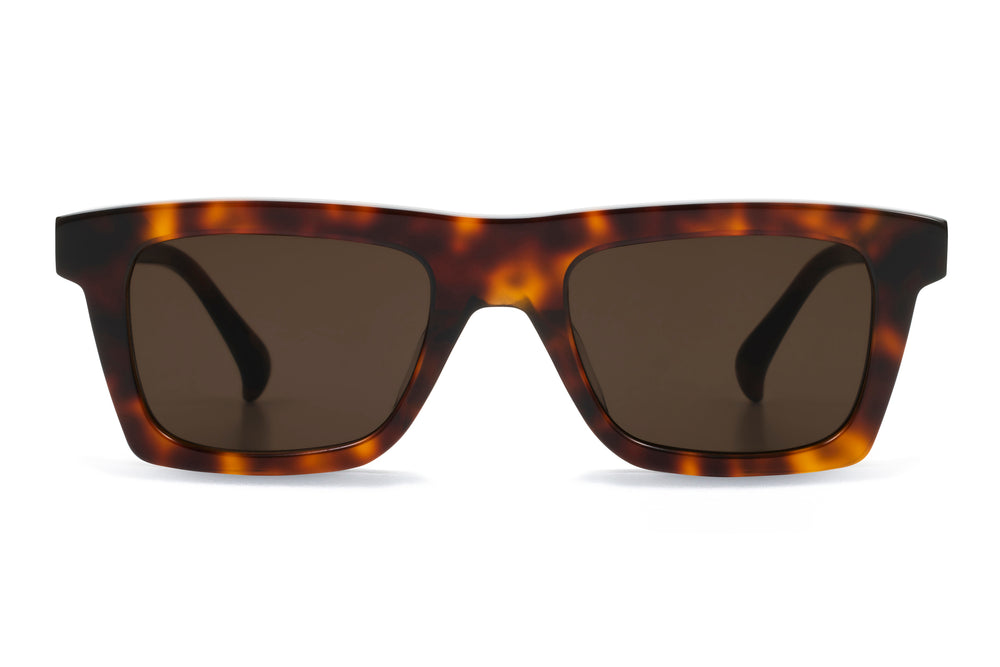 Steeb Large — Cigar Tort