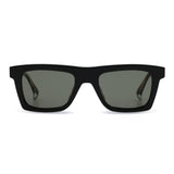 Steeb Large Polarised